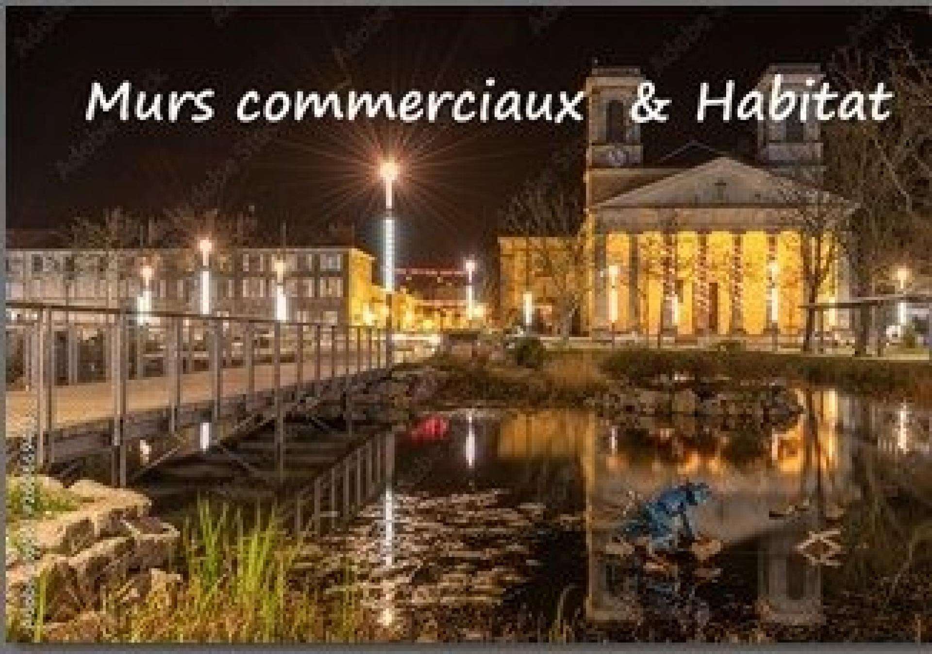 AV ensemble immobilier à fort potentiel La Roche