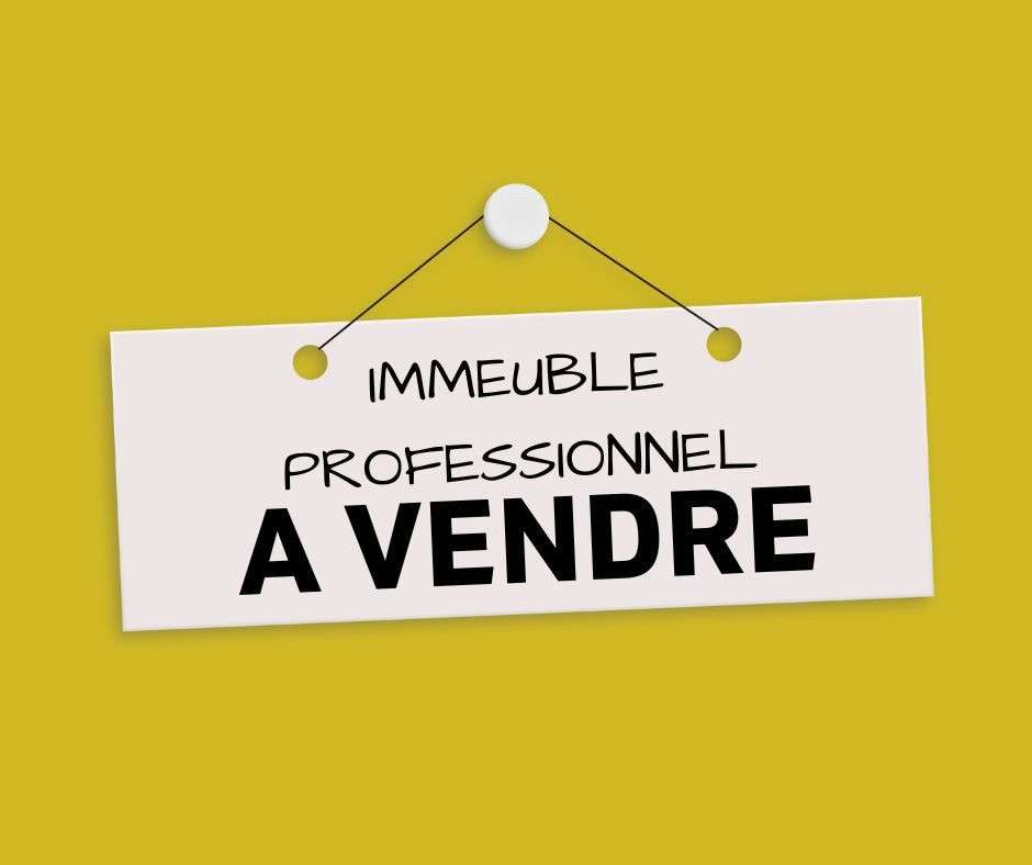 AV immeuble professionnel 700m² Bassin Rumillien