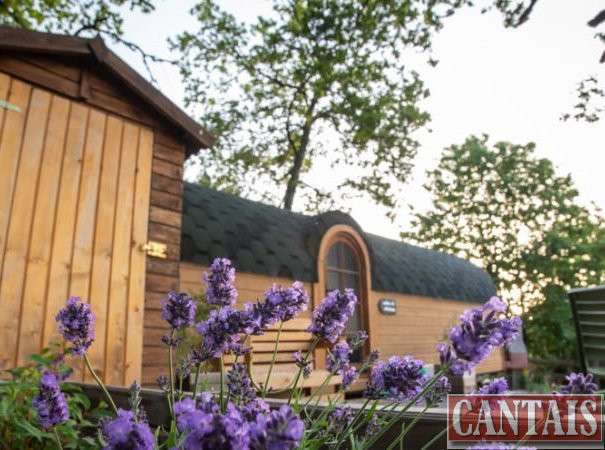 Vente Gîte sur 3 ha axe Tulle Limousin