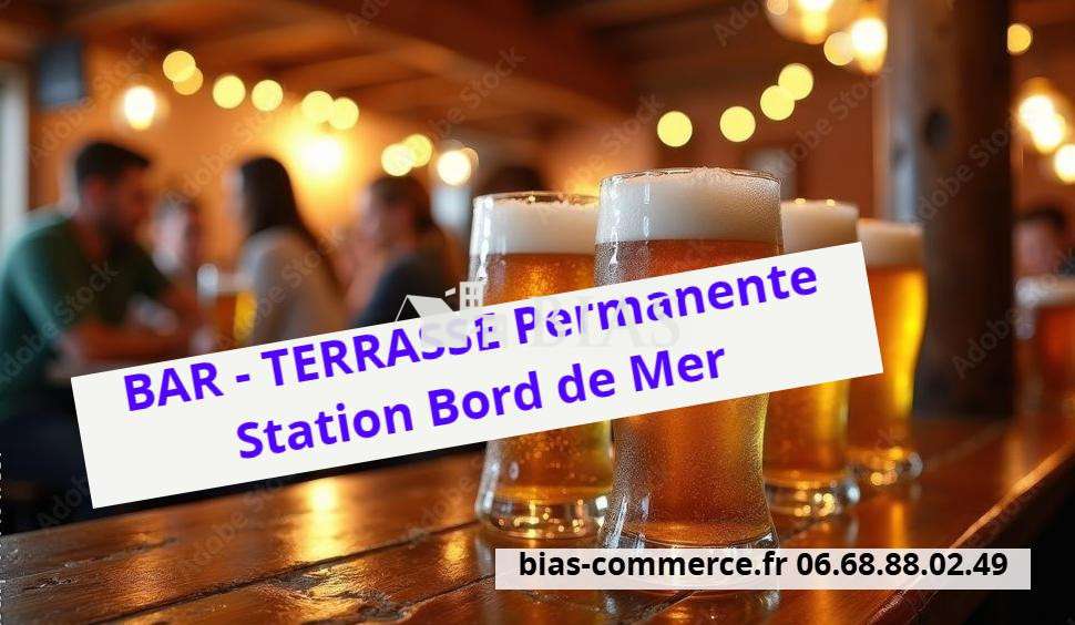 Vente bar de caractère à deux pas de la plage 76