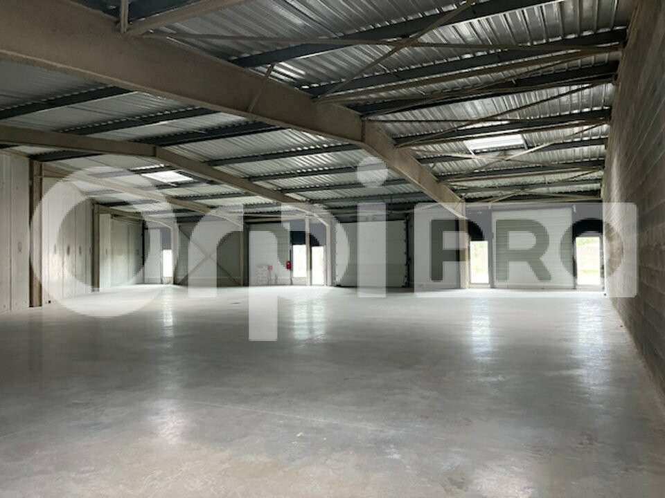 Atelier neuf de 499m² à louer à La Rochelle ZFU