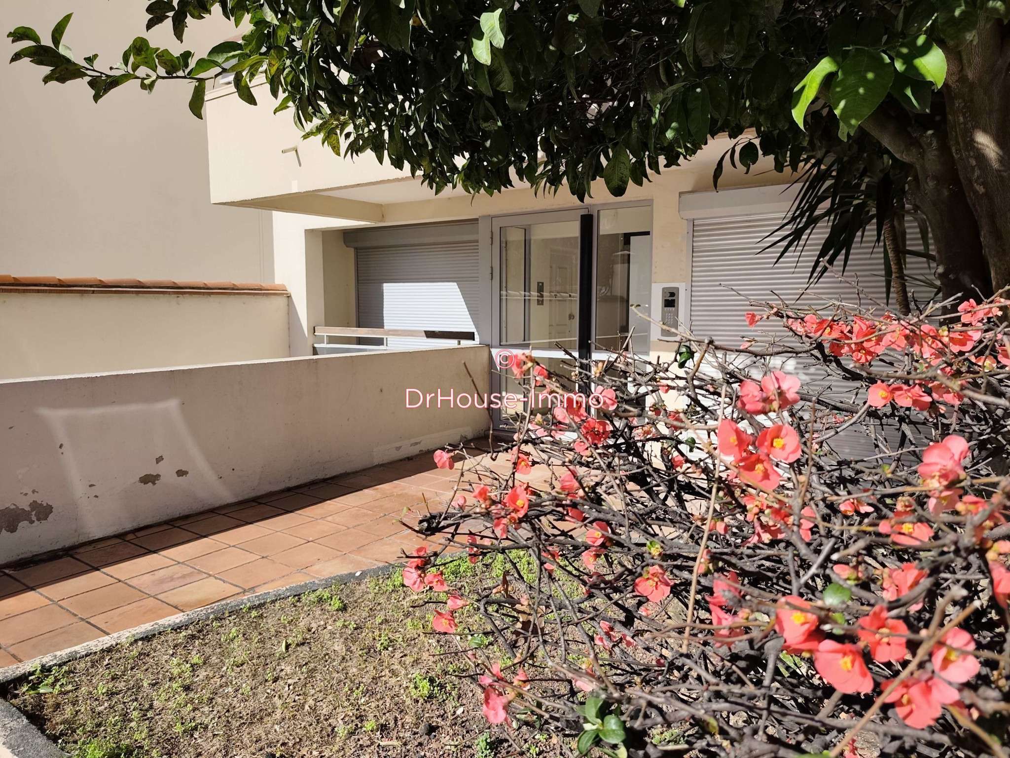 AV local pro de 43m² à Perpignan Cours Palmarole