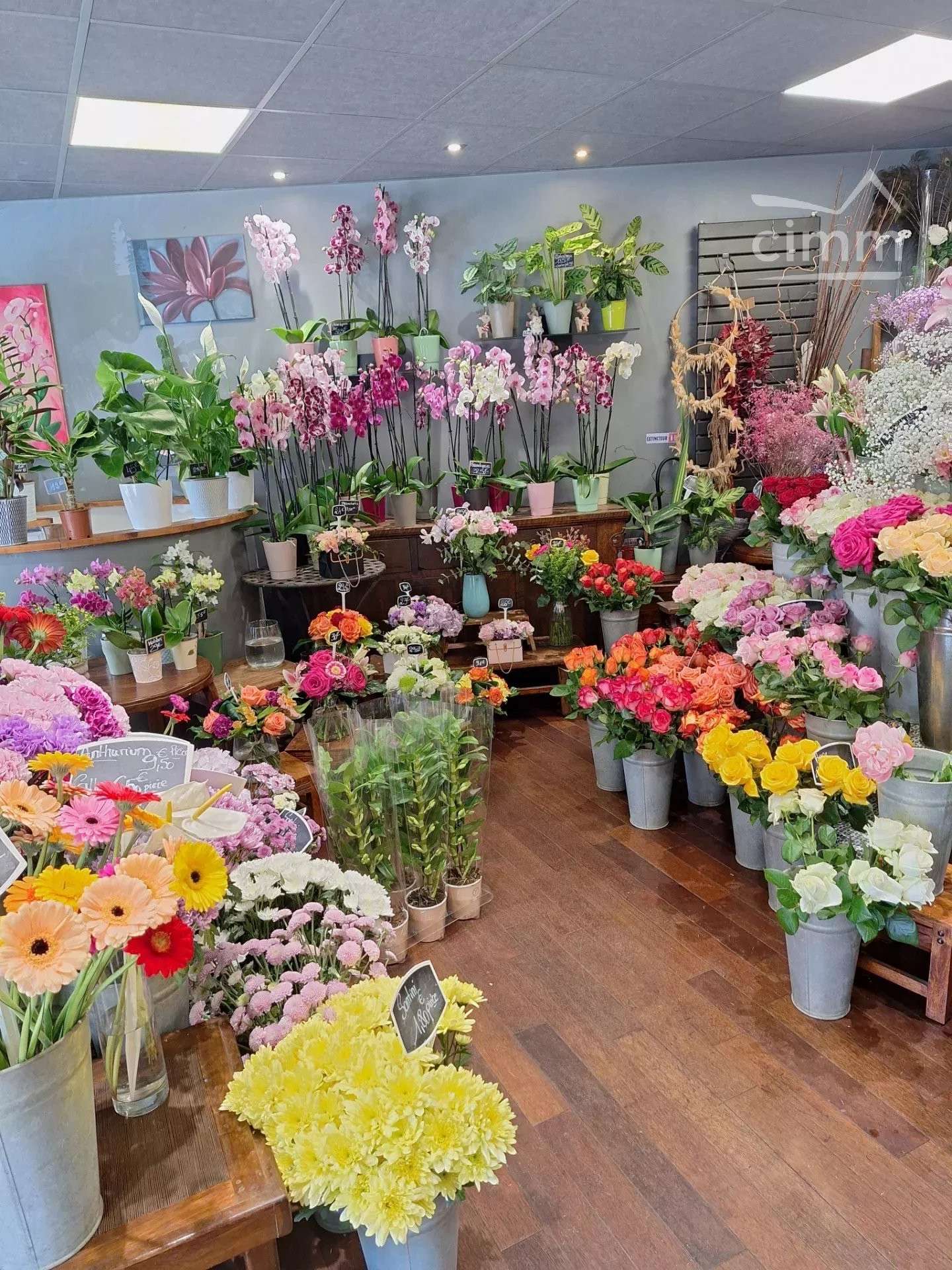 Vente FDC fleuriste à Saint Maur des Fosses