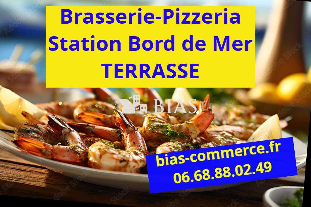 Vente brasserie pizzeria terrasse bord de mer 76