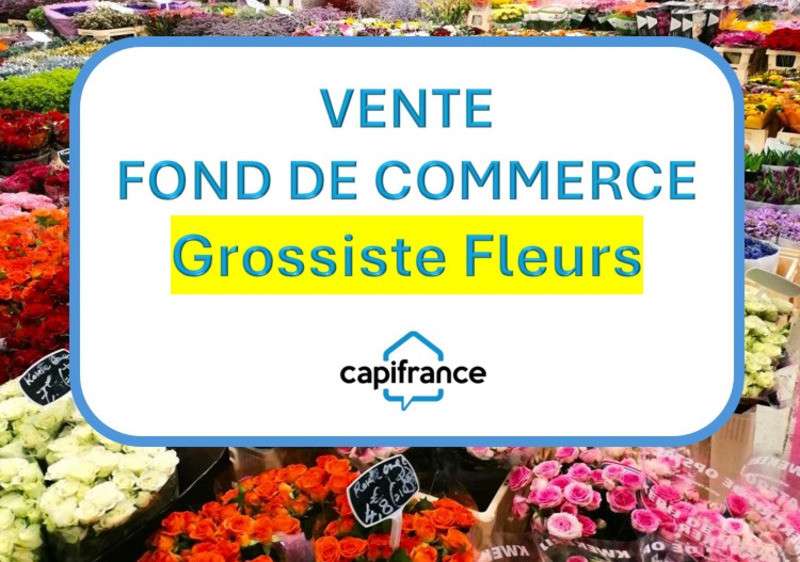 Vente FDC grossiste fleurs et plantes à Bastia