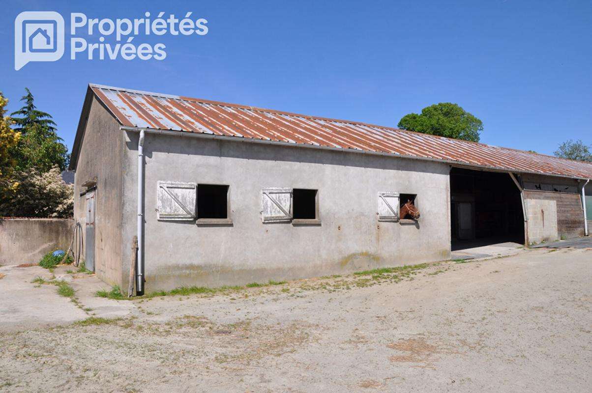 Vente centre équestre 7 hectares hangar en Mayenne