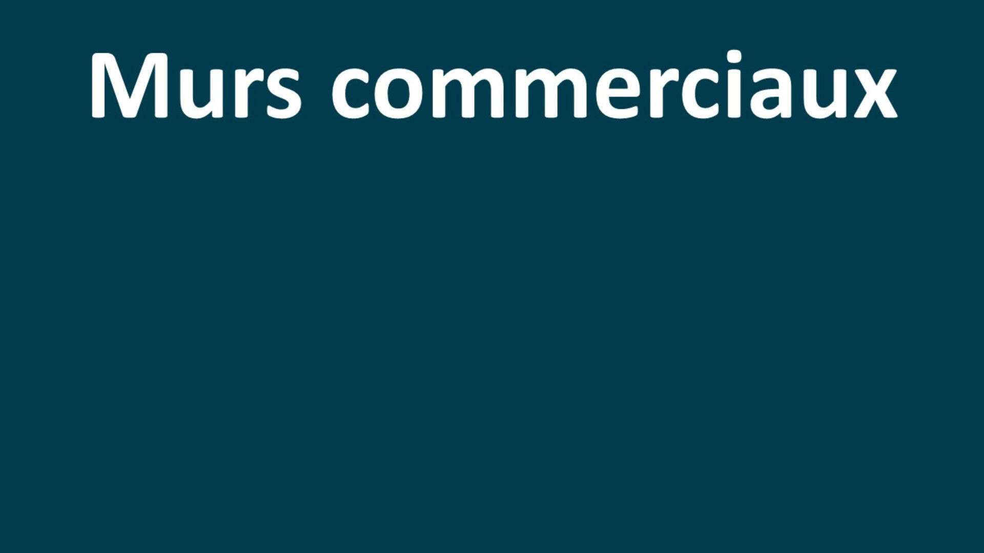 AV local commercial 70m² rue piétonne Le Mans