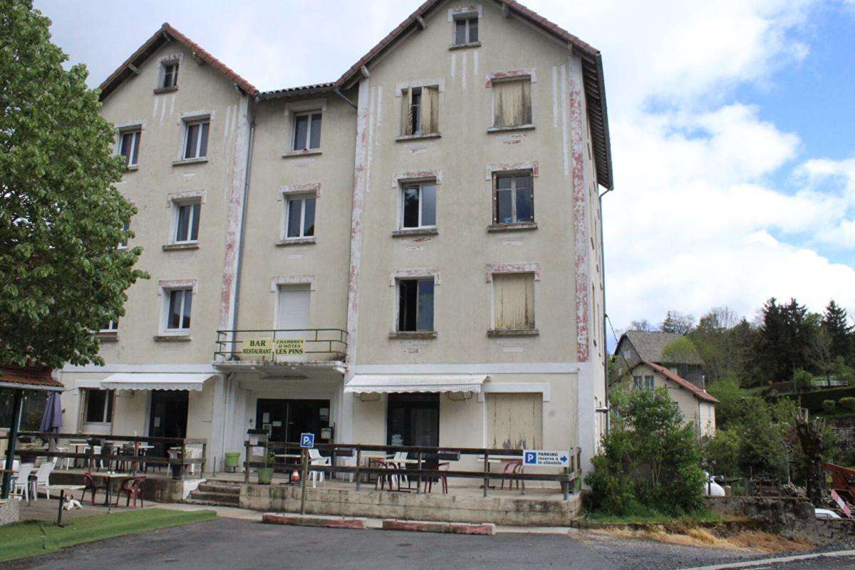 Vente ancien hôtel de 700m² à Langogne