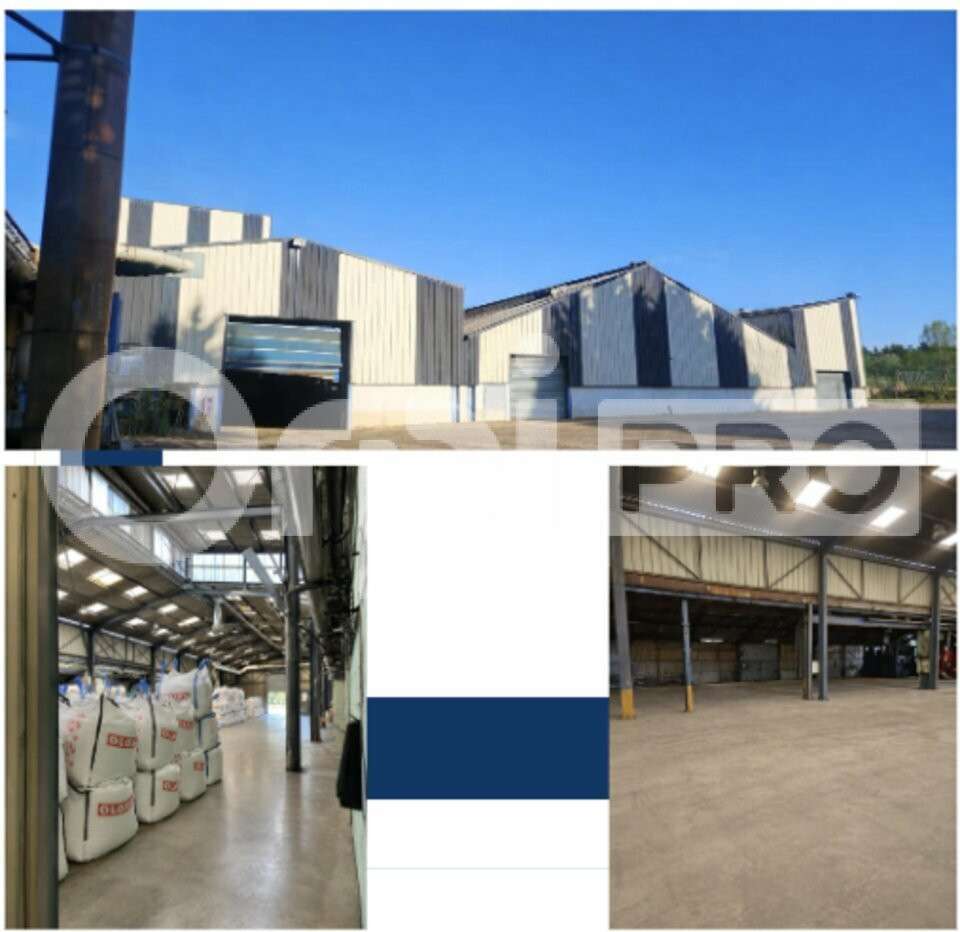 A louer locaux professionnels 4000m² en zrr à Vaux
