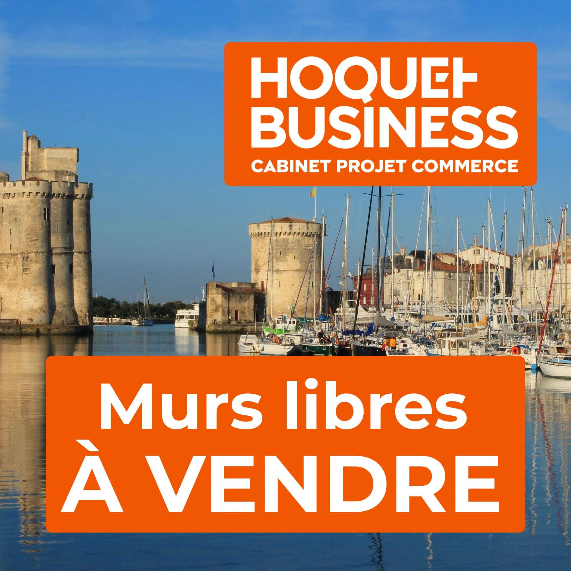Vente murs commerciaux de 540m² en zc Angoulins