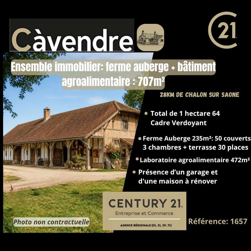Vente propriété ferme auberge 707m² à Louhans