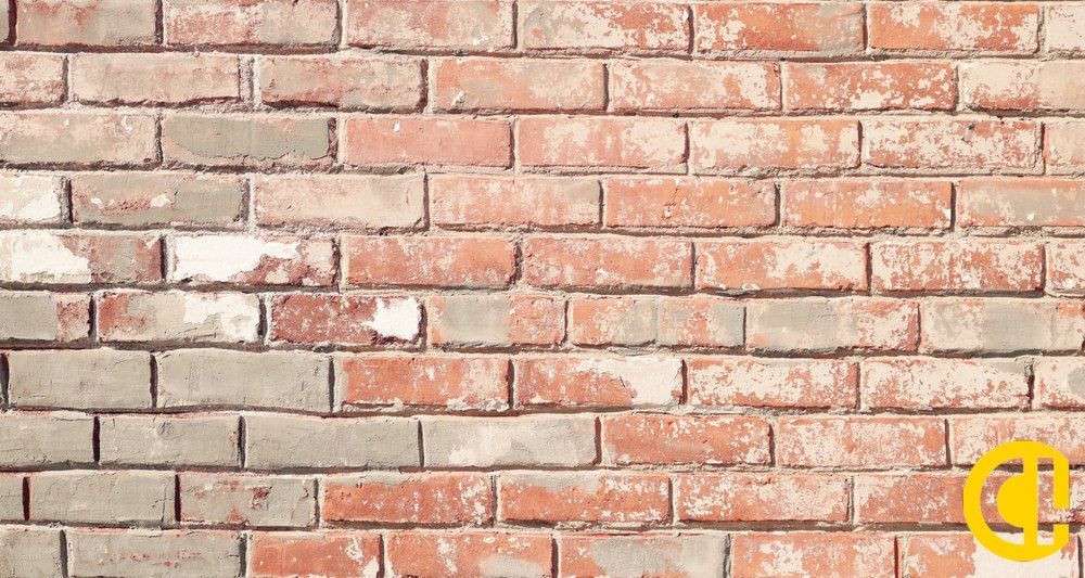 A vendre murs commerciaux occupés 163m² à Lyon