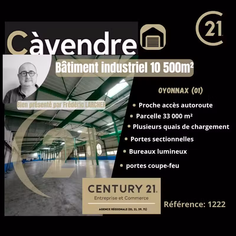 Vente bâtiment industriel 10500m² à Oyonnax (01)