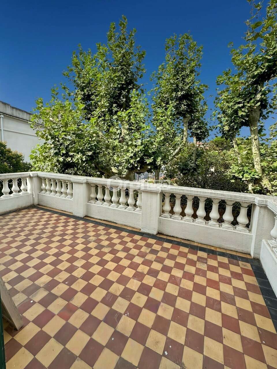 Location Local Professionnel avec Jardin