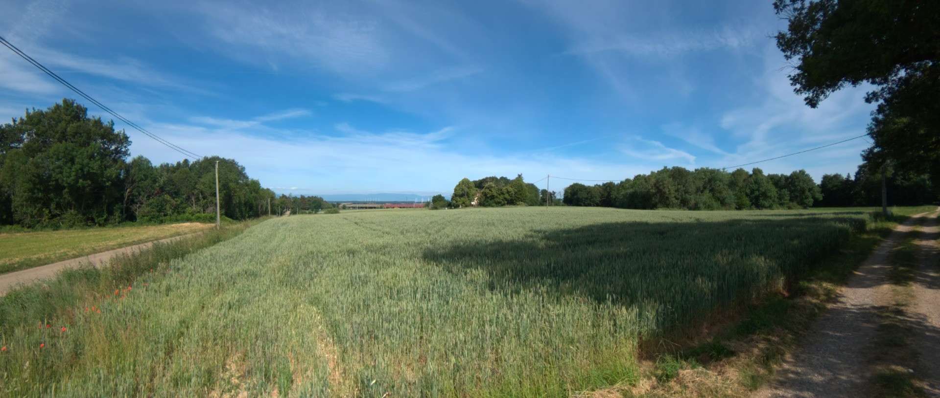 A vendre 3 parcelles de 8828m² à Roybon (38940)