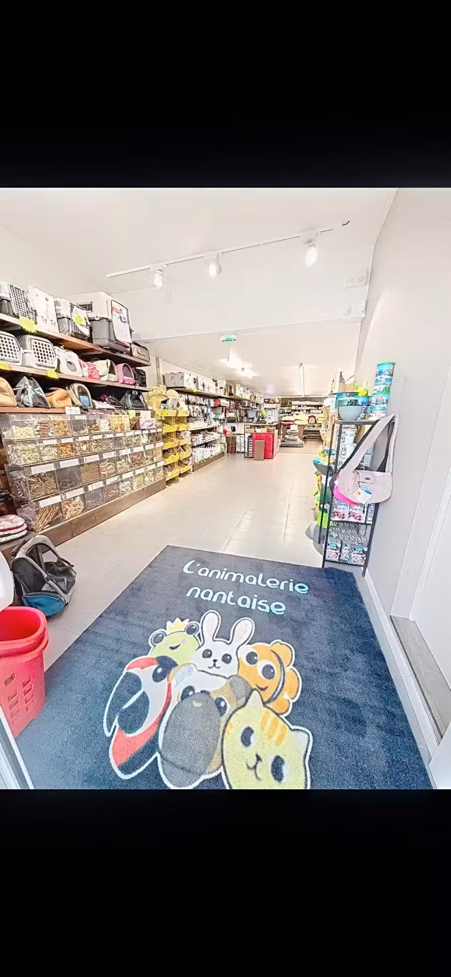 À vendre animalerie secteur Sud Loire de Nantes