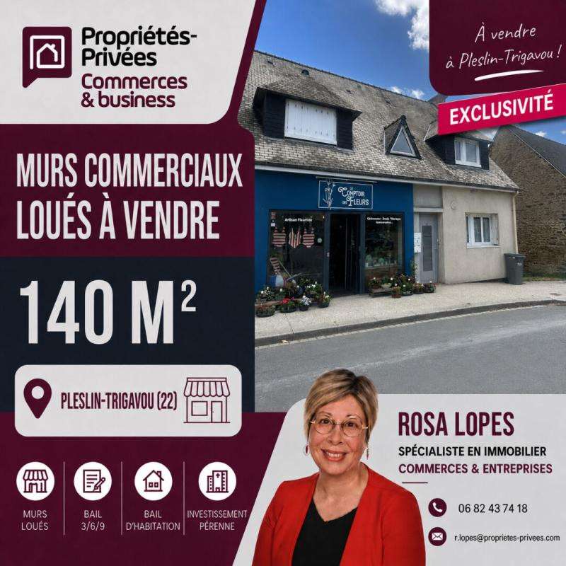 Vente ensemble immobilier loué à Pleslin-Trigavou