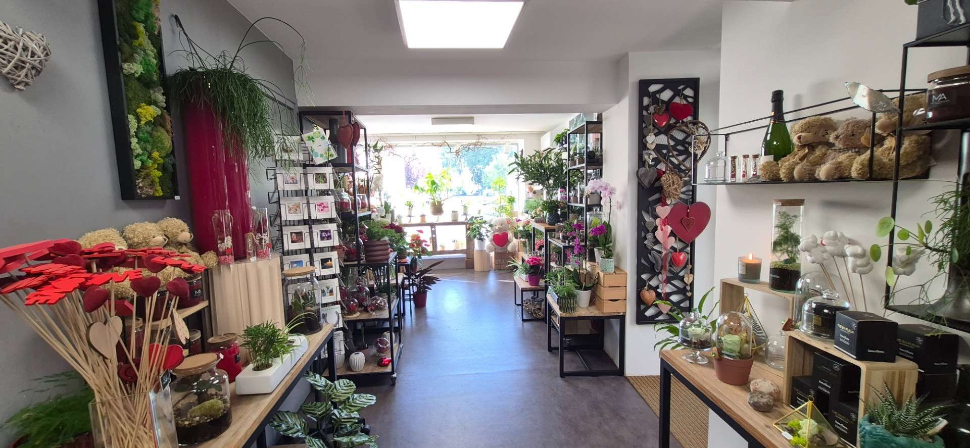 Vente fonds et murs fleuriste + immeuble à Gerzat