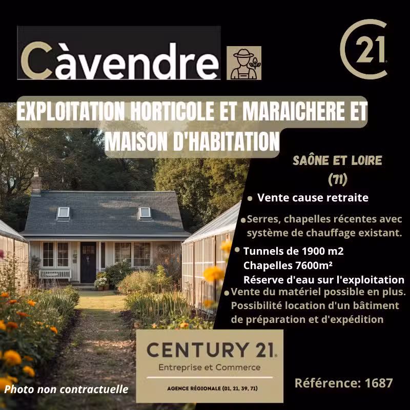 Vente exploitation horticole et maraichère dept 71