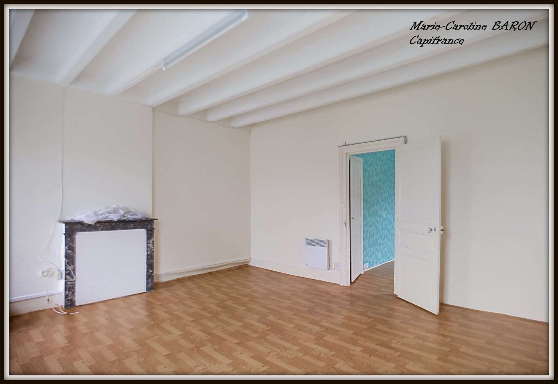 Vente immeubles pour investissement Buzançais (36)