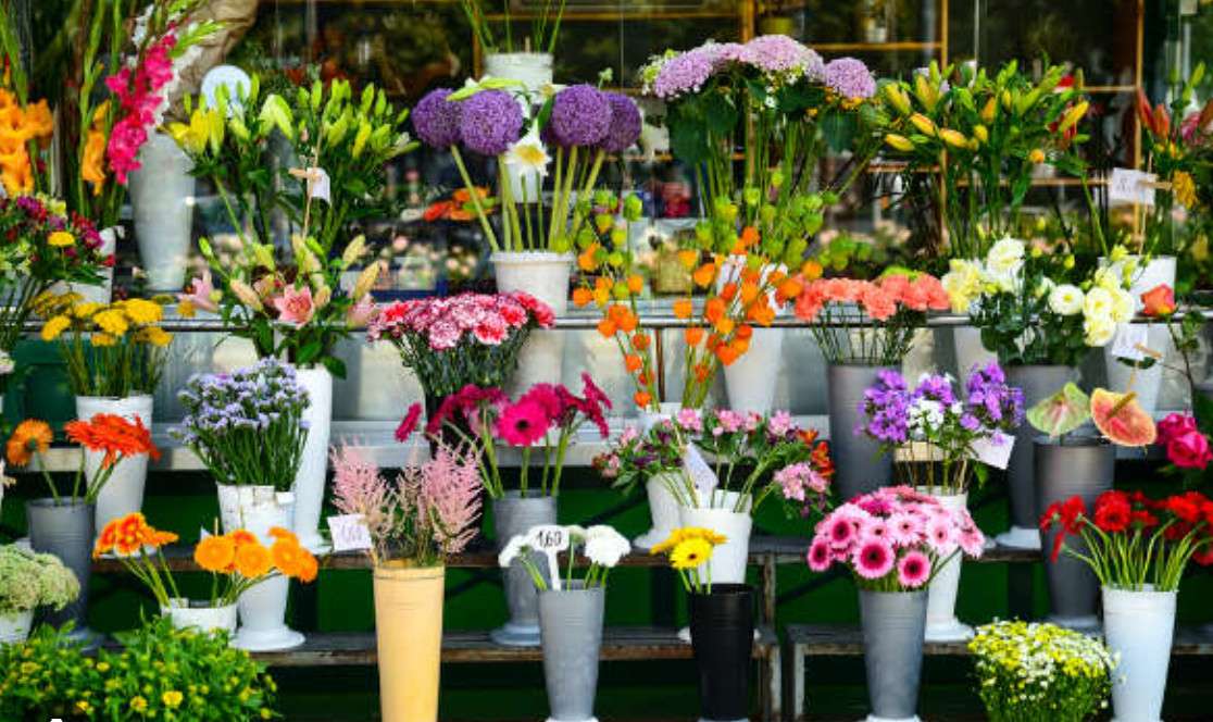 Vente FDC fleuriste en ville dynamique Finistère