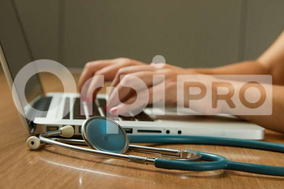 A louer local professionnel bureau 35m² à Angresse