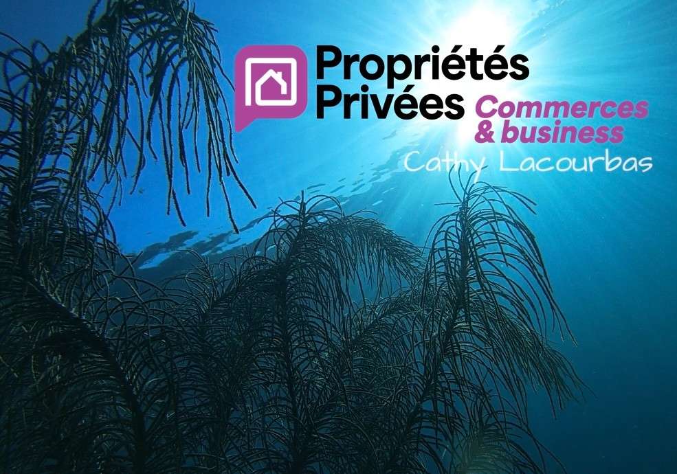 Cession centre de plongée reconnu en guadeloupe 