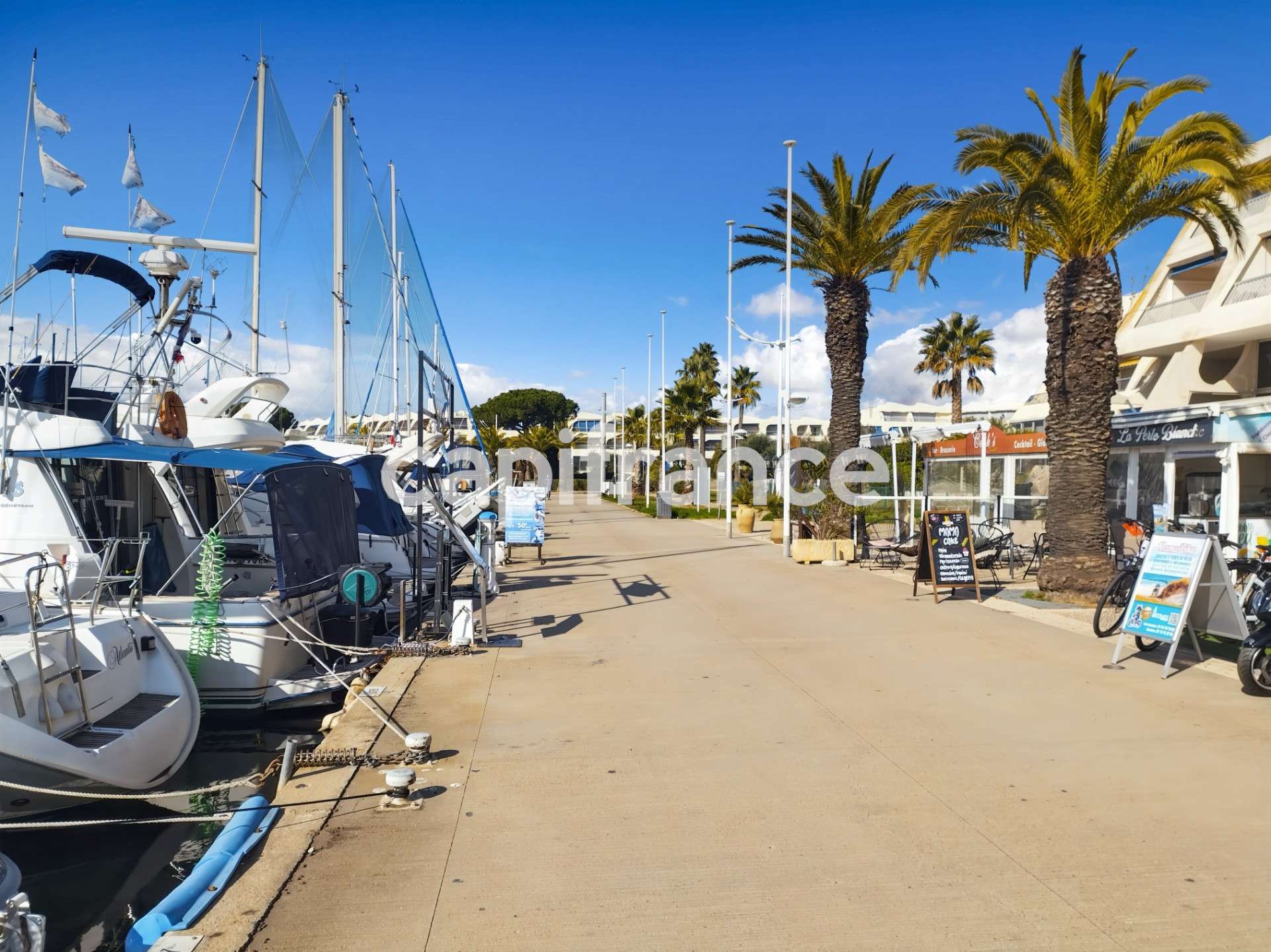 Vente restaurant empl n°1 Le Grau-du-Roi (30240) 