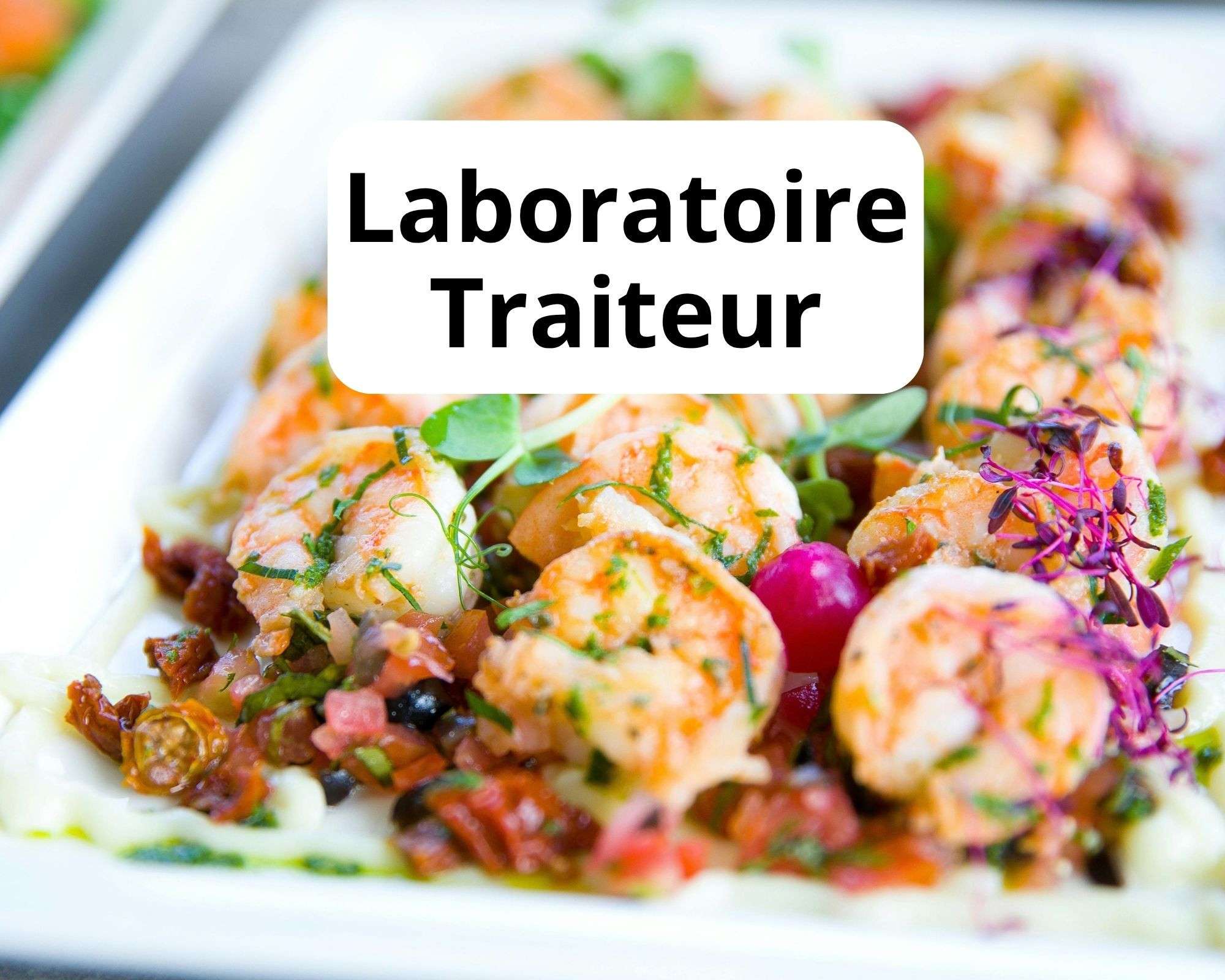 Laboratoire Traiteur entièrement équipé à Nice