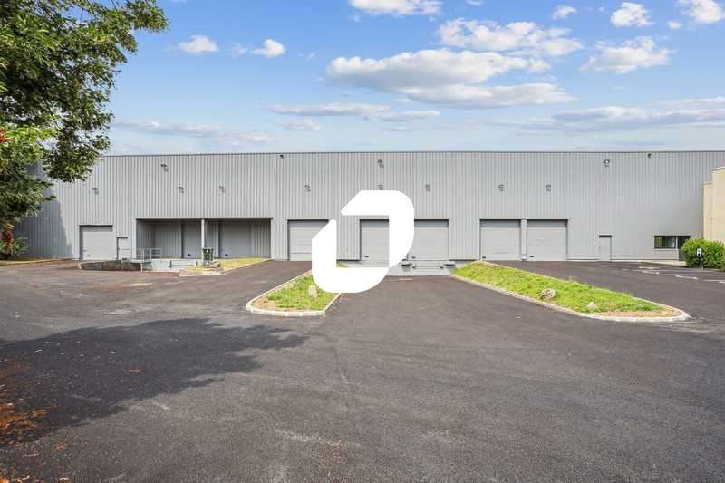 A louer Local d'activité 4471m² Lisses