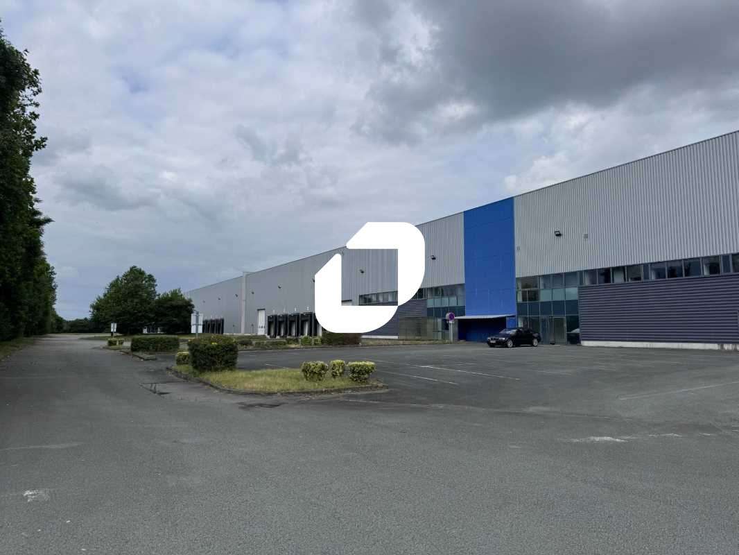 A louer Local d'activité 17536m² Dechy