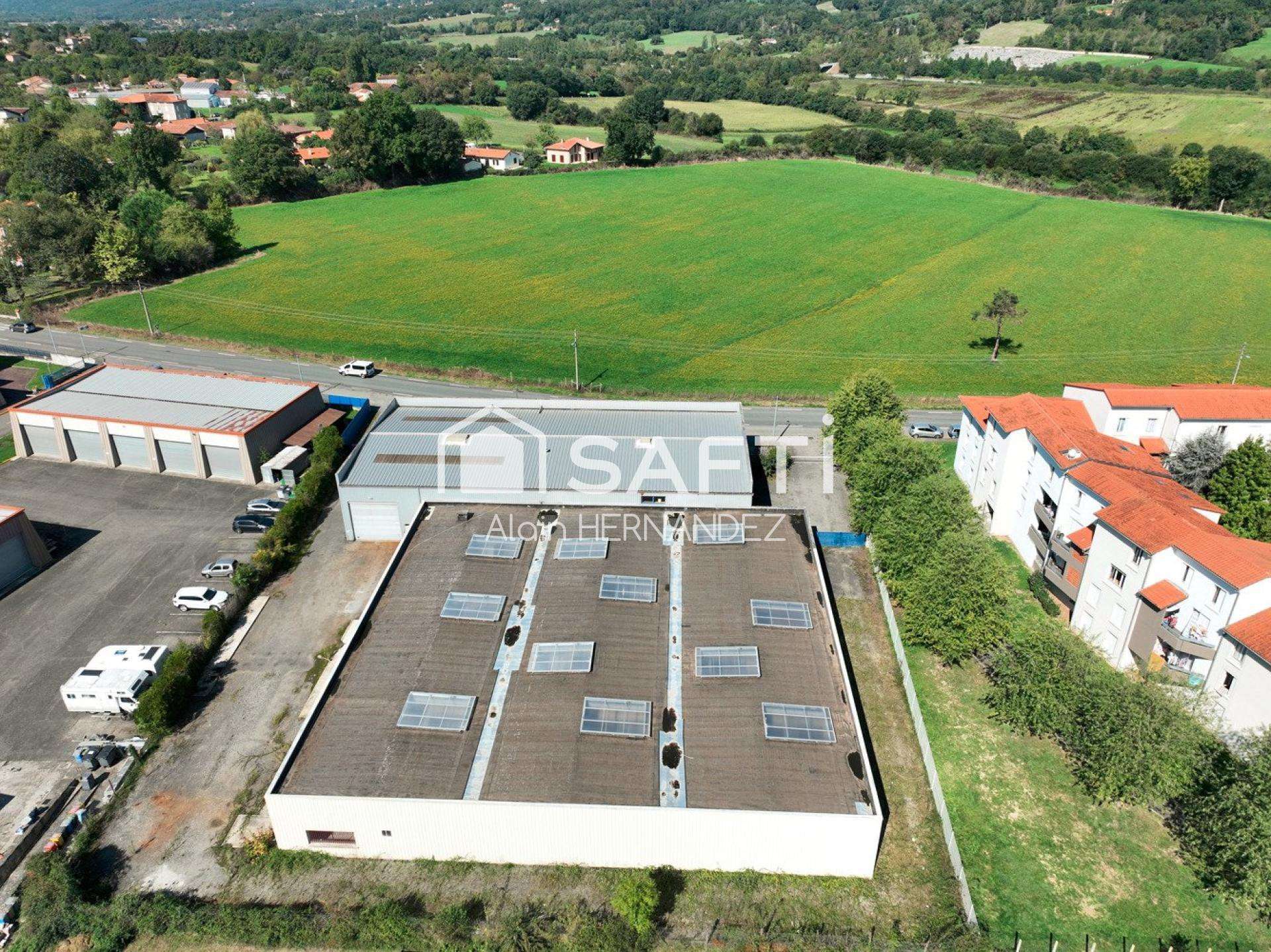 Vente ensemble professionnel 1 360m² Saint-Gaudens