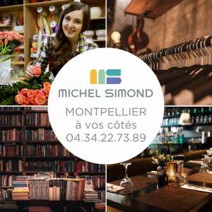 [CABINET MICHEL SIMOND MONTPELLIER]
