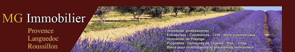 [MG IMMOBILIER]