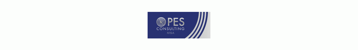 [PAN EURO SERVICES]