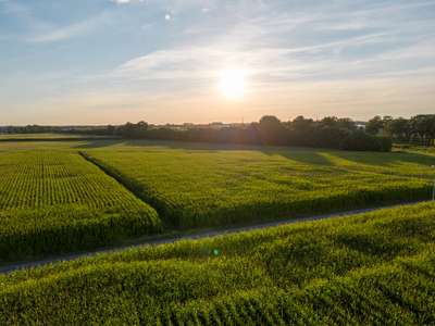 Vente terrain constructible à Mérignac centre