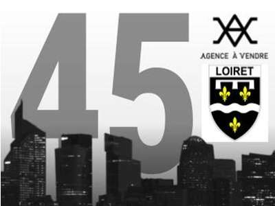 Vente Agence Immobilière à Orléans