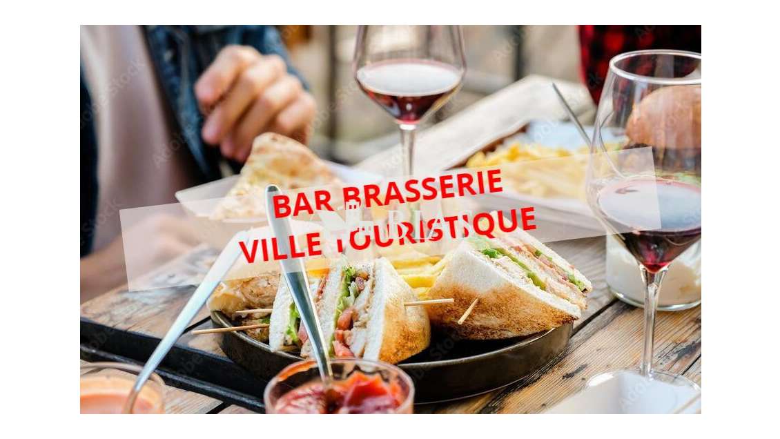 AV brasserie du midi lic IV ville touristique 14