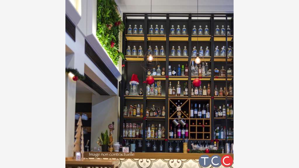 Vente bar brasserie lic IV rénové à Albi centre