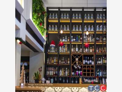 Vente bar brasserie lic IV rénové à Albi centre