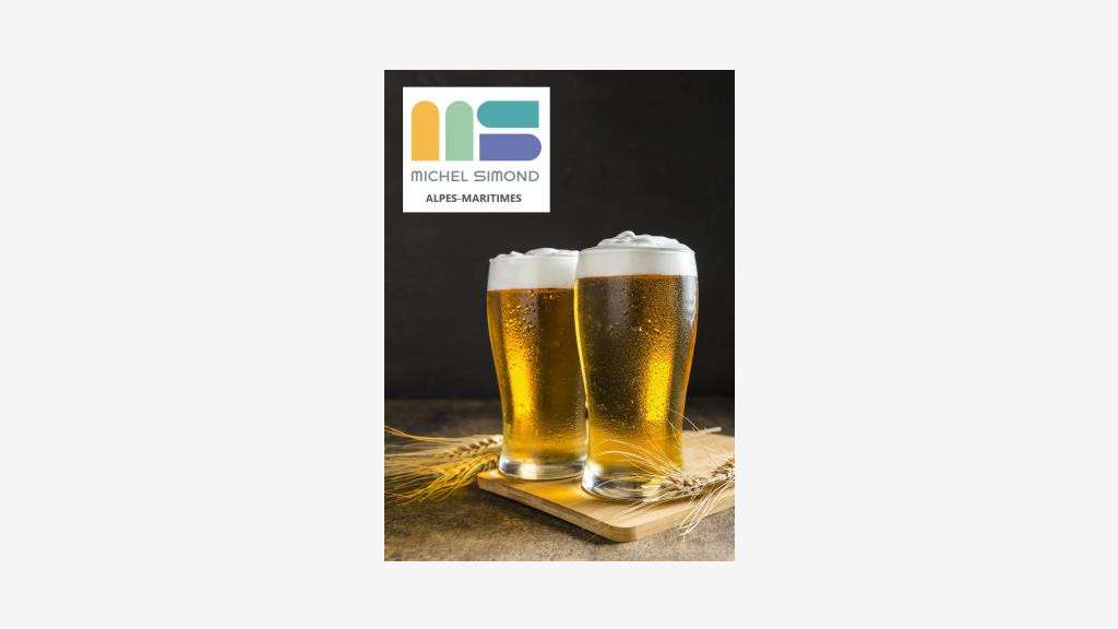Vente bar pur en centre ville des Alpes-Maritimes