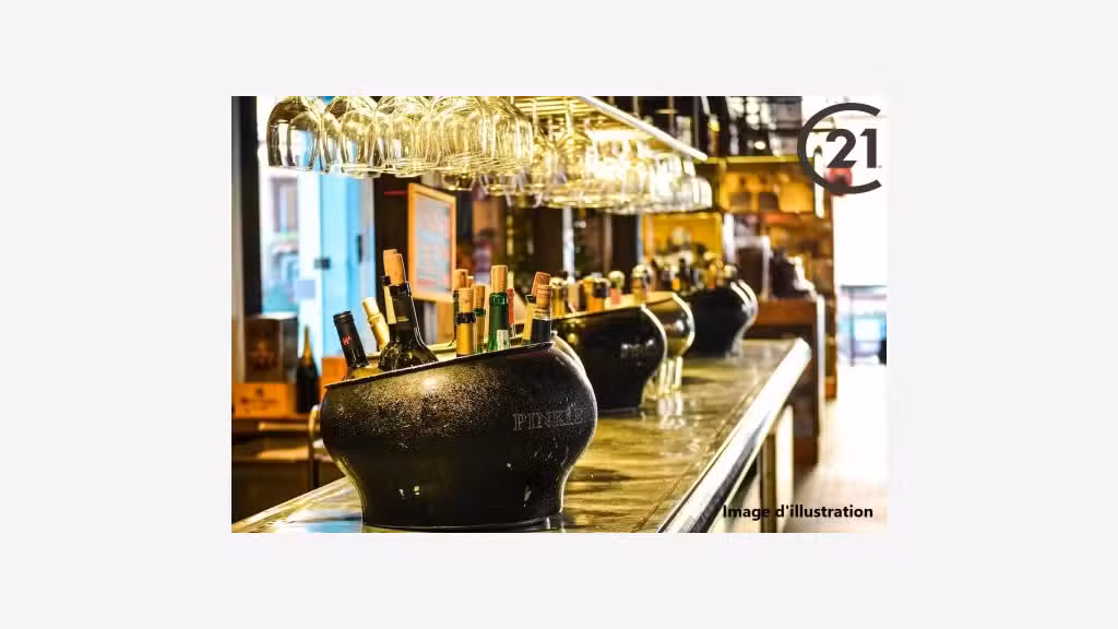 Vente bar licence IV loto snack glacier dept Aude