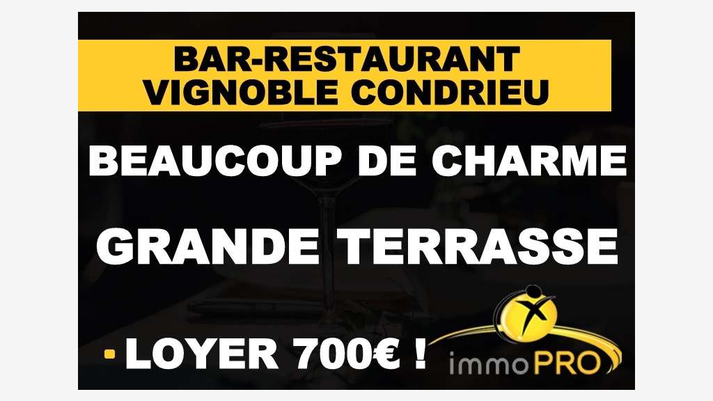 Vente belle auberge avec terrasse privée Condrieu