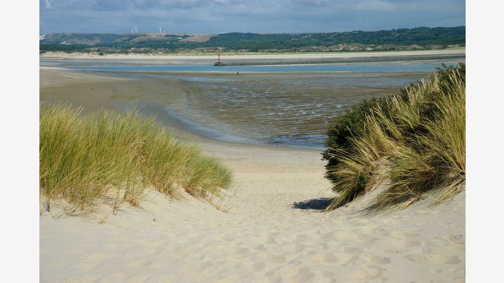 Brasserie Licence IV secteur Étaples / Le Touquet