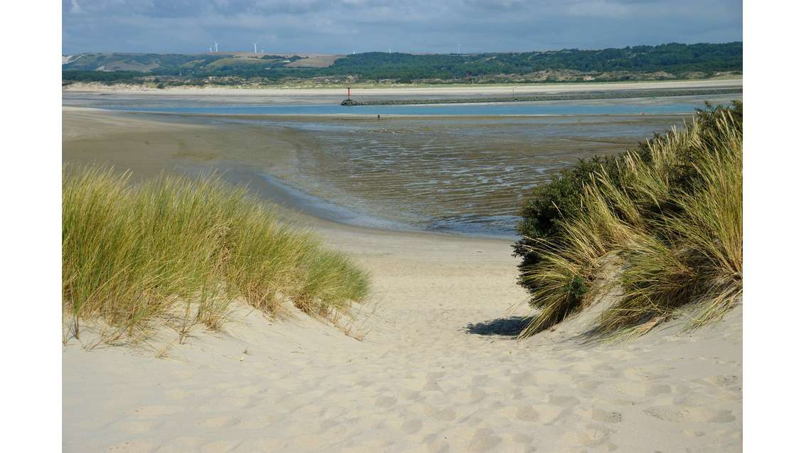 Brasserie Lic IV secteur Étaples / Le Touquet