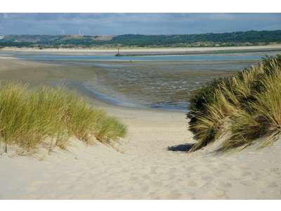 Vente Bar - Brasserie - Tabac à Étaples
