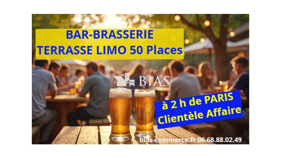 Brasserie-restaurant centre ville touristique 27