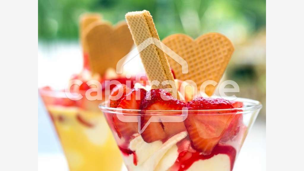 Vente bar glacier empl N°1 Aigues-Mortes (30220)