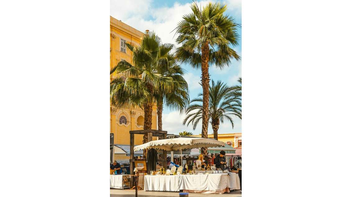 AV seule affaire sur le secteur géographique Nice