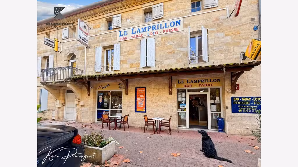 Fonds de commerce bar à vendre à Sainte Terre (33)
